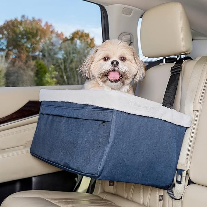 Pet Safety Products For Cars 2025